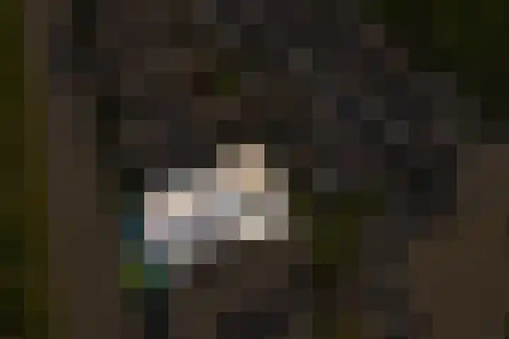 Baesjoulaan 4 Tiel thumbnail 41