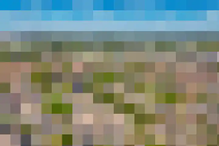 Baesjoulaan 4 Tiel thumbnail 42
