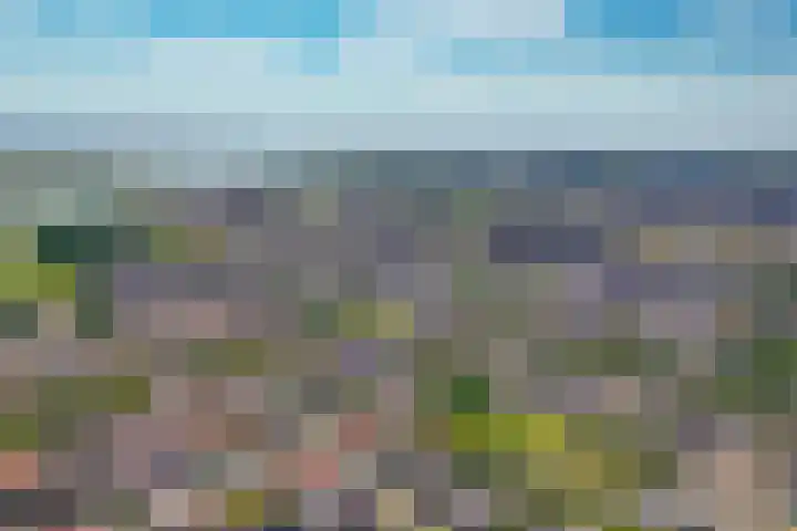 Baesjoulaan 4 Tiel thumbnail 43