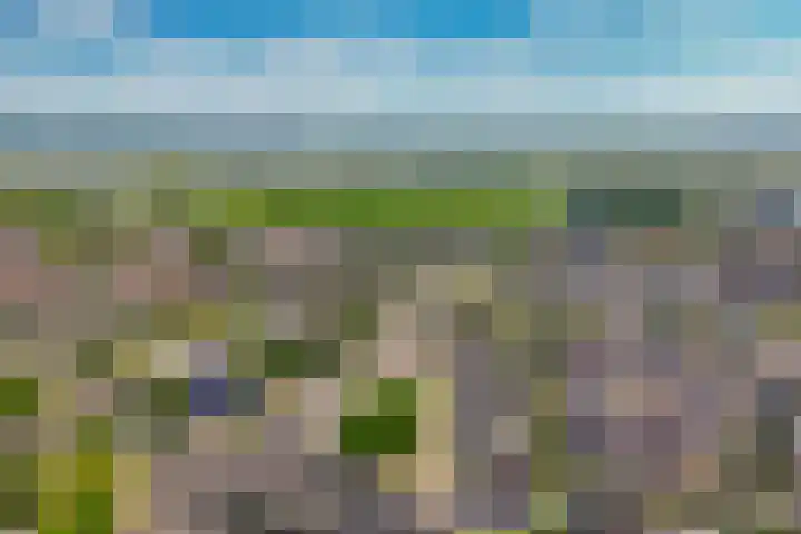 Baesjoulaan 4 Tiel thumbnail 5