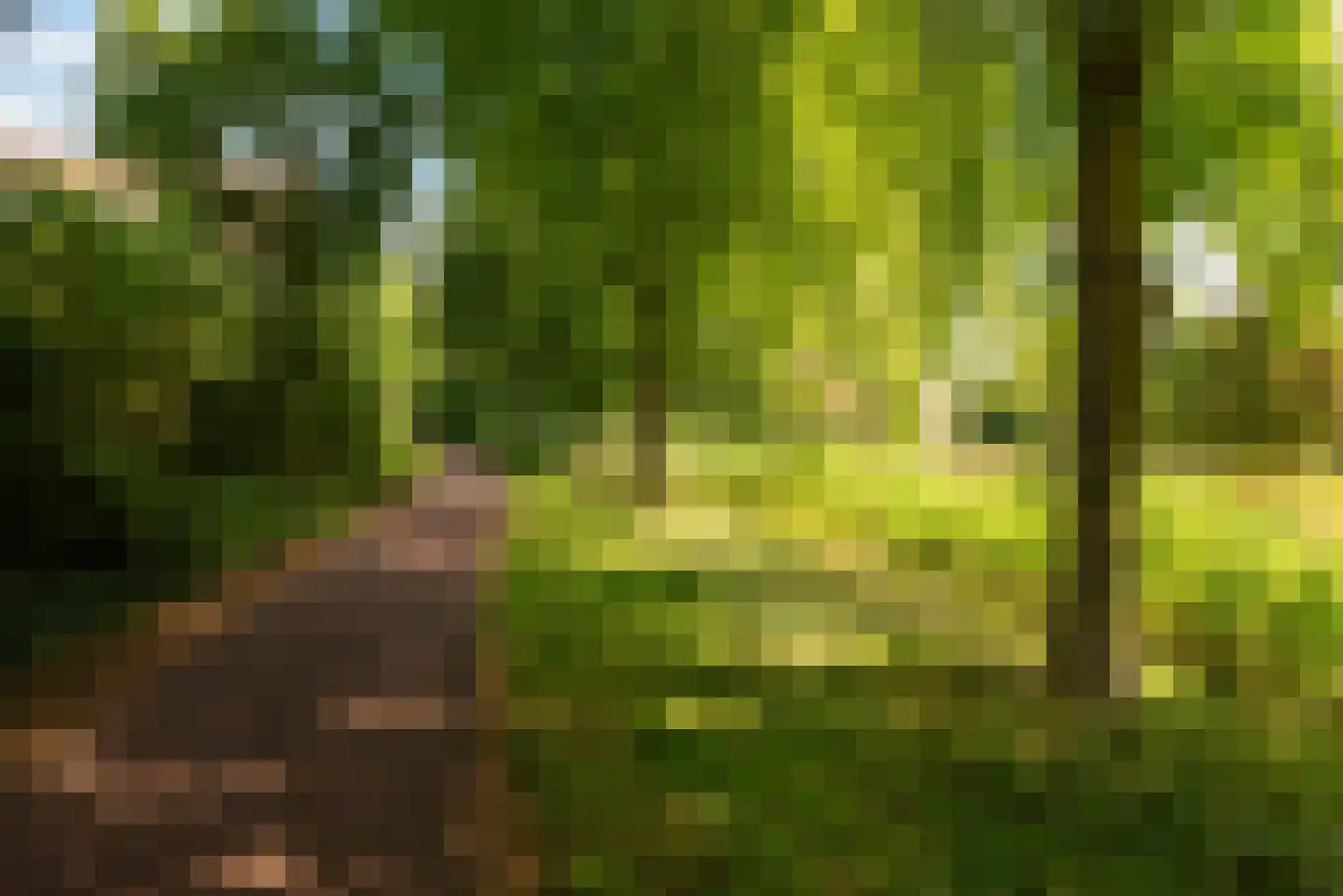 Baetenburg 112 Heiloo thumbnail 29