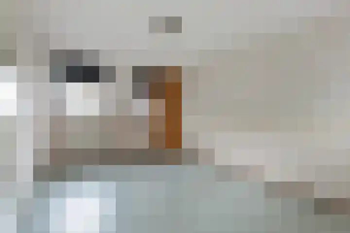 Baetenburg 115 Heiloo thumbnail 16