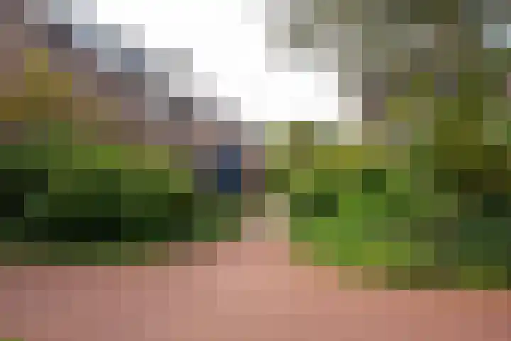 Baetenburg 115 Heiloo thumbnail 37