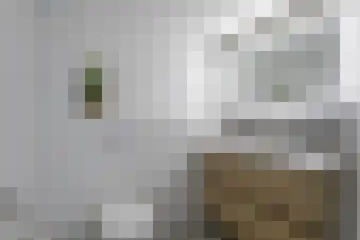 Baetenburg 126 Heiloo thumbnail 23