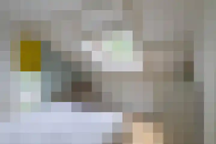 Baetenburg 126 Heiloo thumbnail 28