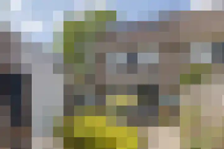 Baetenburg 126 Heiloo thumbnail 31