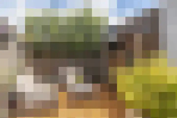 Baetenburg 126 Heiloo thumbnail 32