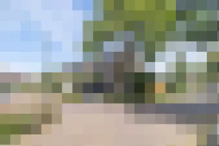 Baetenburg 126 Heiloo thumbnail 33