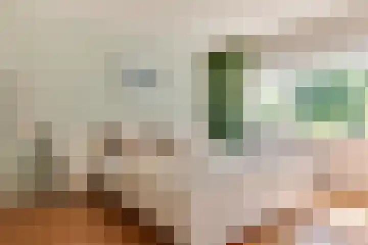 Baetenburg 53 Heiloo thumbnail 22