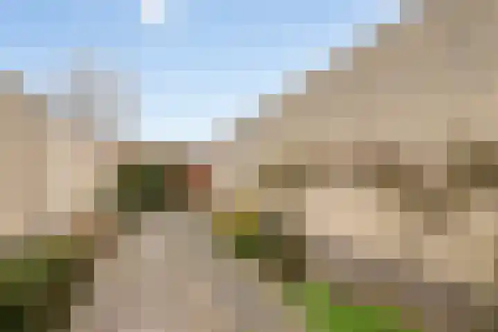 Baetenburg 53 Heiloo thumbnail 24