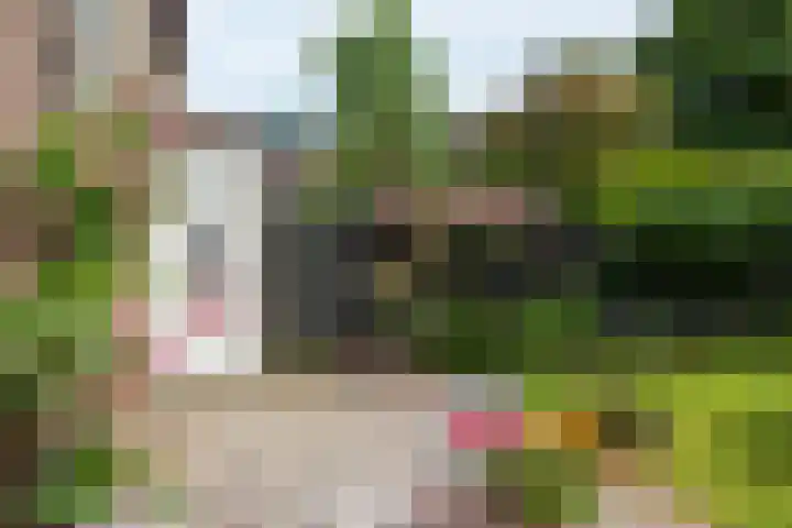Baetenburg 53 Heiloo thumbnail 43
