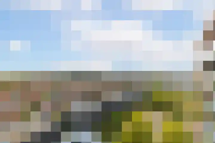 Baetenburg 53 Heiloo thumbnail 45
