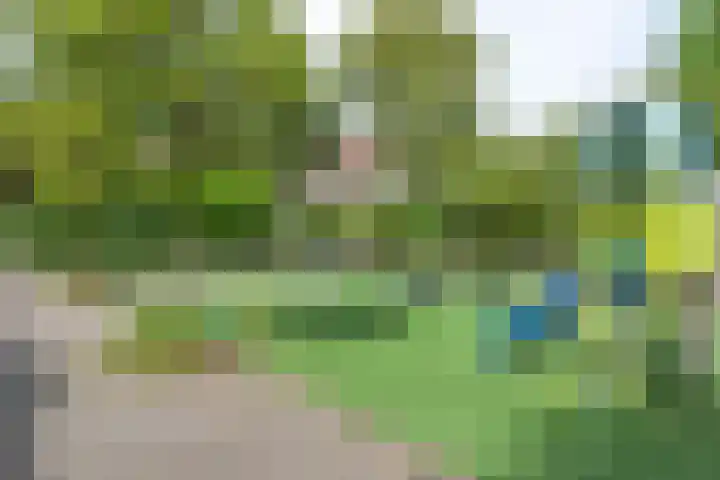 Baetenburg 53 Heiloo thumbnail 51