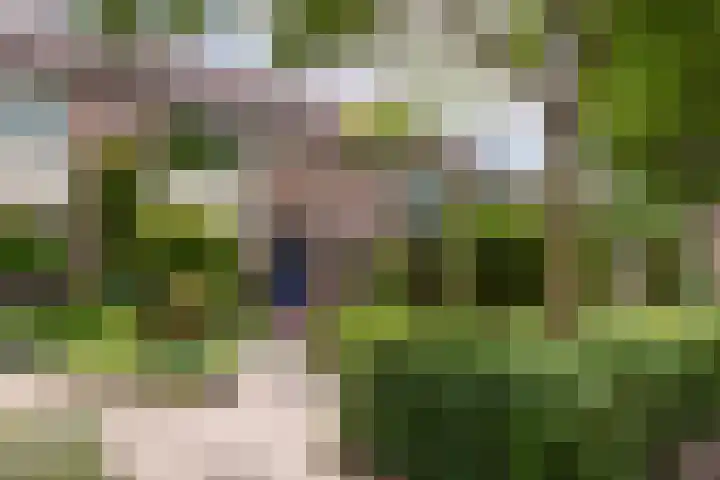 Baetenburg 53 Heiloo thumbnail 52