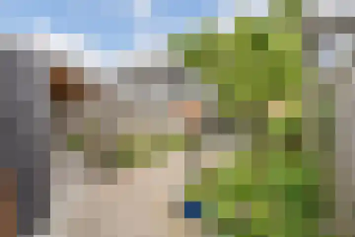 Baetenburg 53 Heiloo thumbnail 7