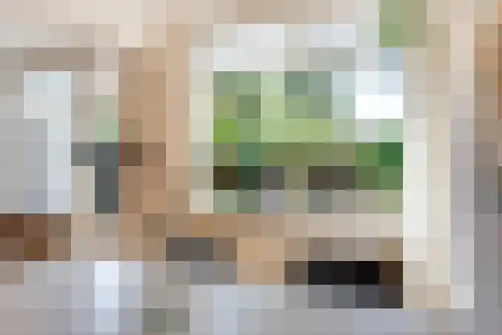 Baetenburg 53 Heiloo thumbnail 8