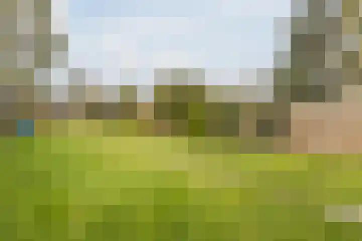 Baetenburg 6 Heiloo thumbnail 16