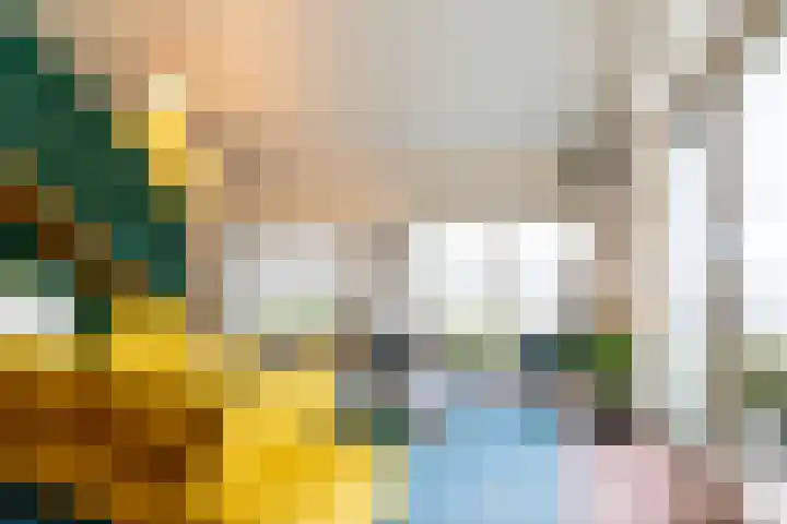 Baetenburg 6 Heiloo thumbnail 4