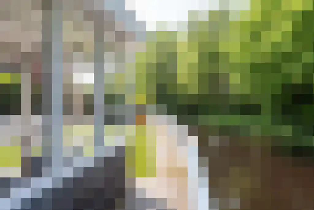 Baetenburg 6 Heiloo thumbnail 43