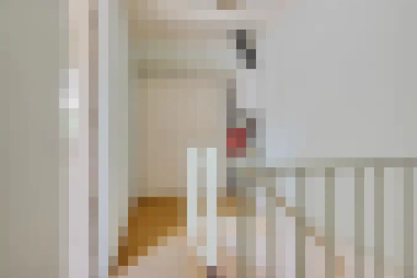 Baetenburg 79 Heiloo thumbnail 34
