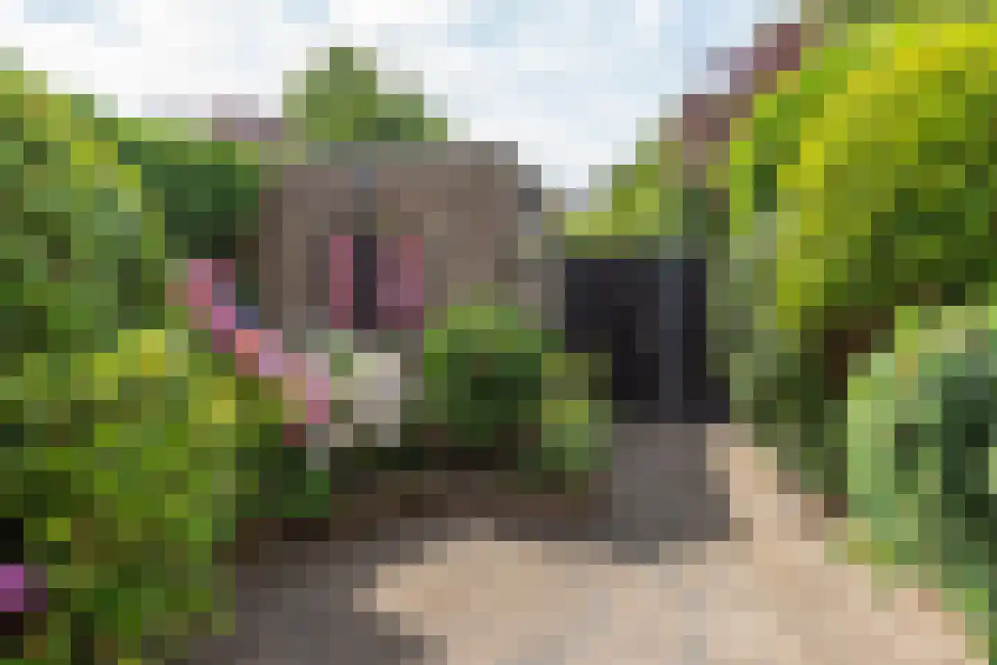 Baetenburg 79 Heiloo thumbnail 35