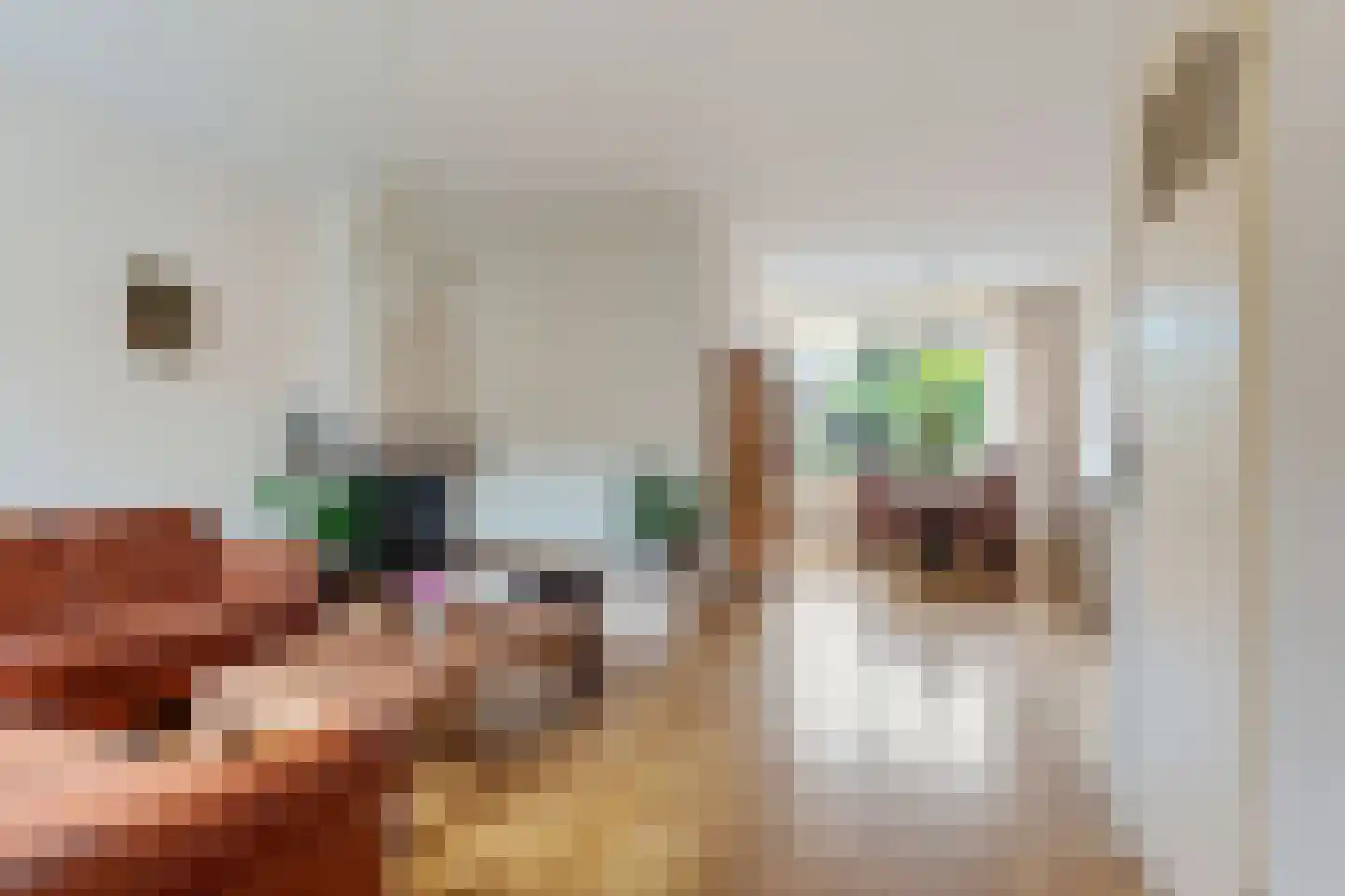 Baetenburg 79 Heiloo thumbnail 4