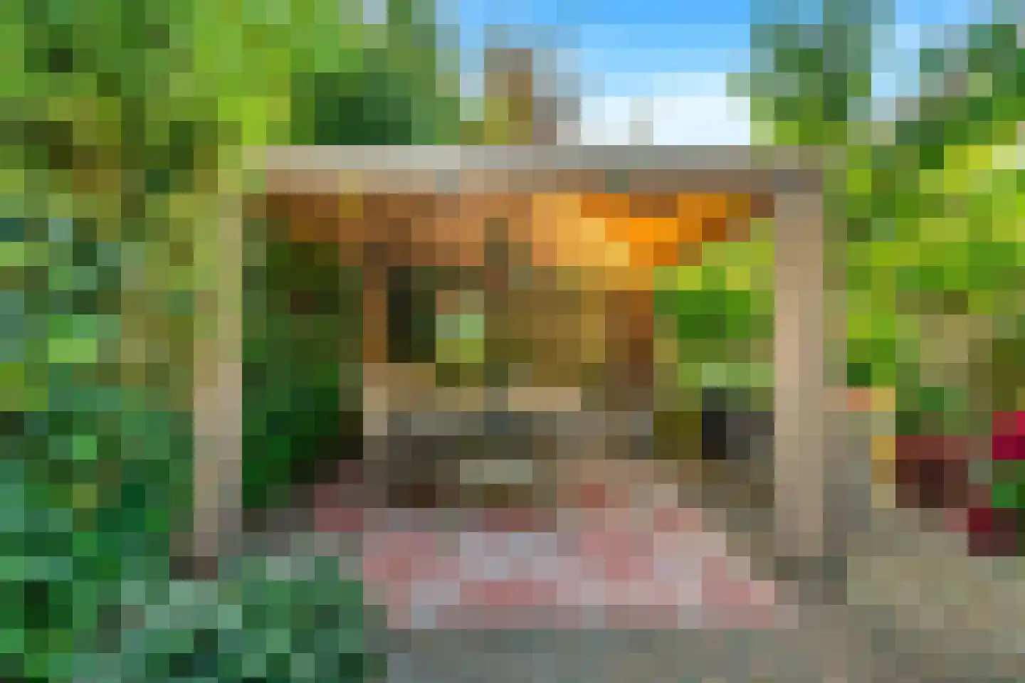 Baetenburg 93 Heiloo thumbnail 42