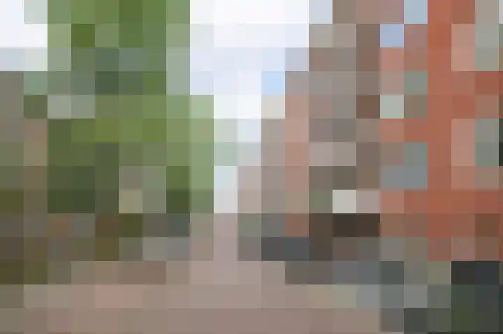 Baetostraat 13 1 Amsterdam thumbnail 25