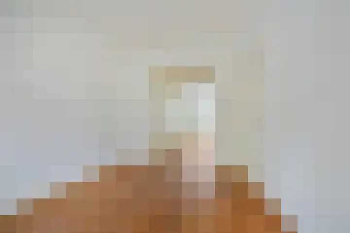 Baetostraat 13 1 Amsterdam thumbnail 9