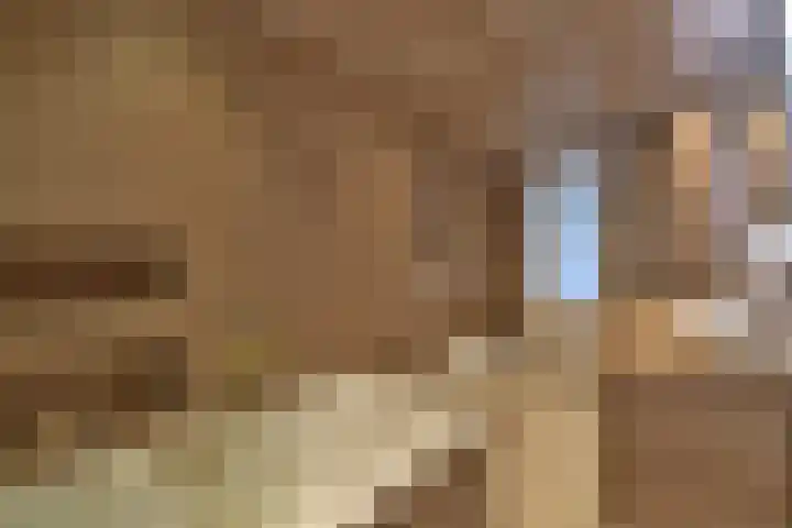 Baetostraat 15 3 Amsterdam thumbnail 17