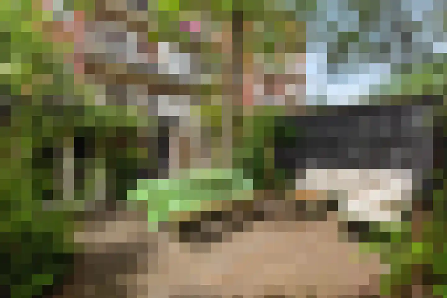 Baetostraat 18 H Amsterdam thumbnail 37