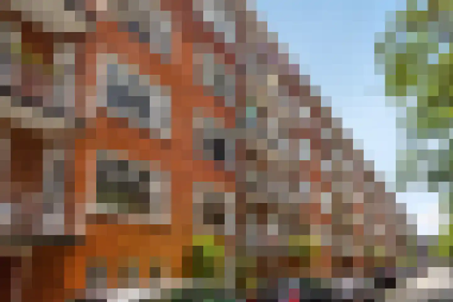 Baetostraat 18 H Amsterdam thumbnail 40