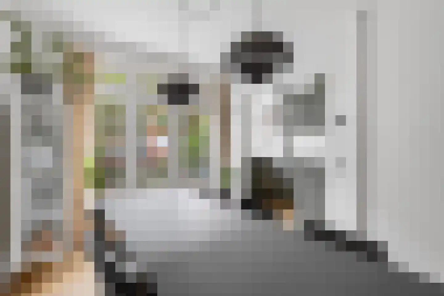 Baetostraat 18 H Amsterdam thumbnail 7