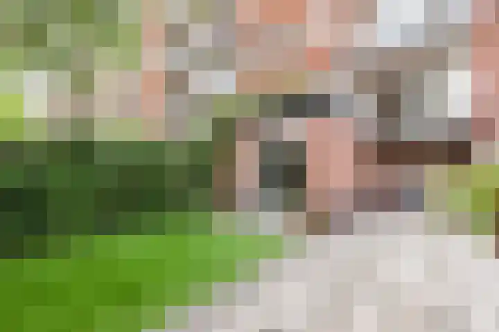 Baetostraat 20 2 Amsterdam thumbnail 37