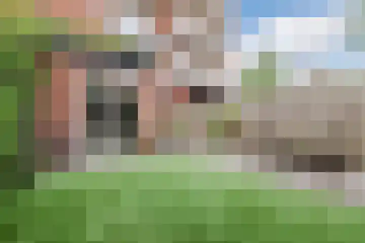Baetostraat 20 2 Amsterdam thumbnail 38