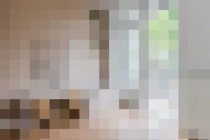 Baetostraat 20 2 Amsterdam thumbnail 9