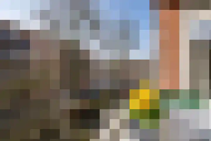 Baetostraat 6 2 Amsterdam thumbnail 19