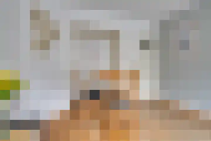 Baetostraat 6 2 Amsterdam thumbnail 5