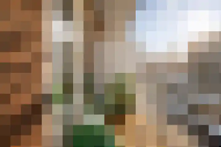 Baetostraat 6 2 Amsterdam thumbnail 7
