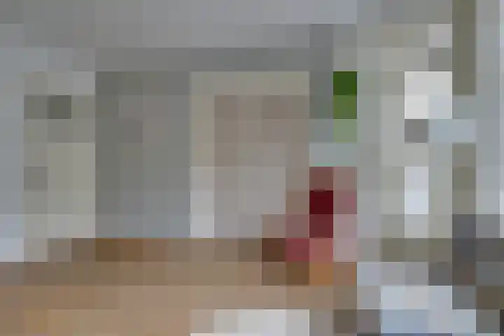 Baetostraat 6 2 Amsterdam thumbnail 9