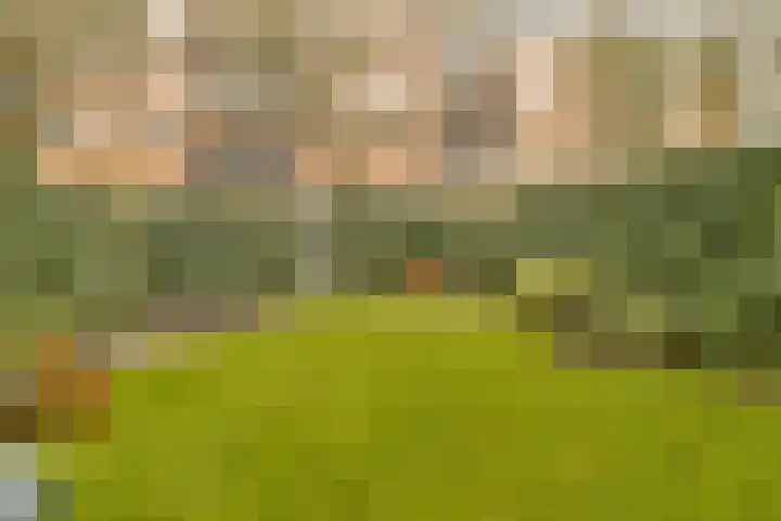 Baetostraat 7 H Amsterdam thumbnail 20