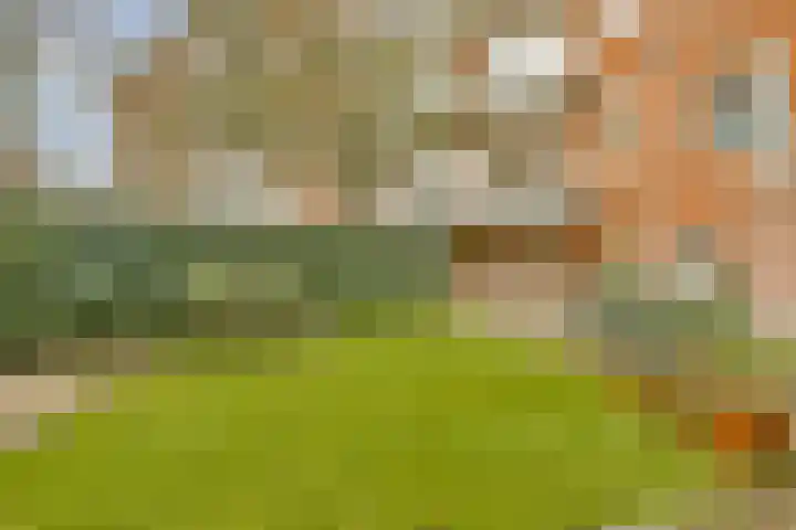 Baetostraat 7 H Amsterdam thumbnail 22