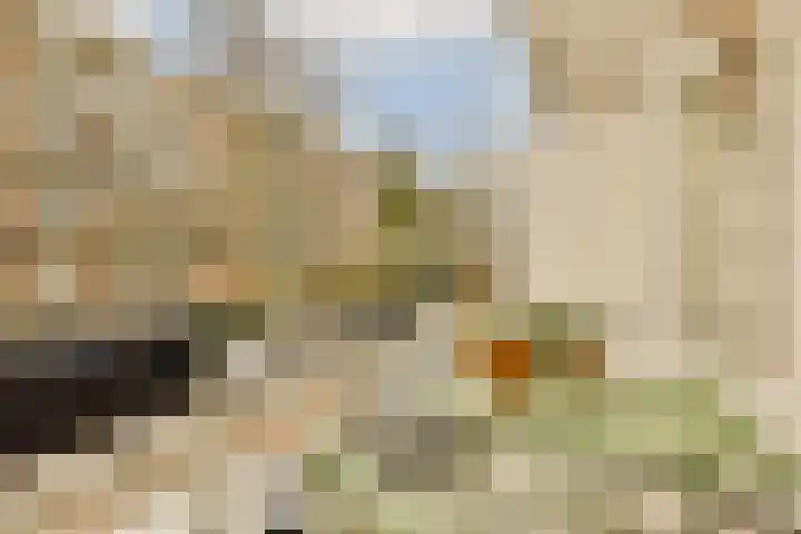 Baetostraat 7 H Amsterdam thumbnail 8