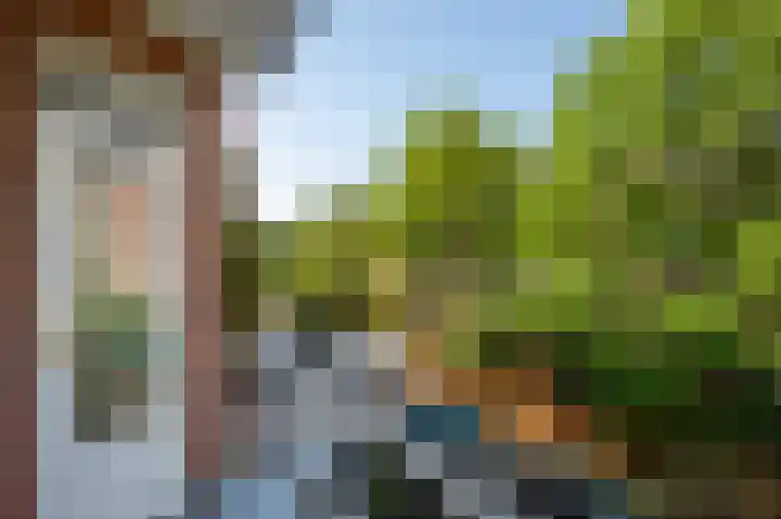 Baetostraat 9 2 Amsterdam thumbnail 12