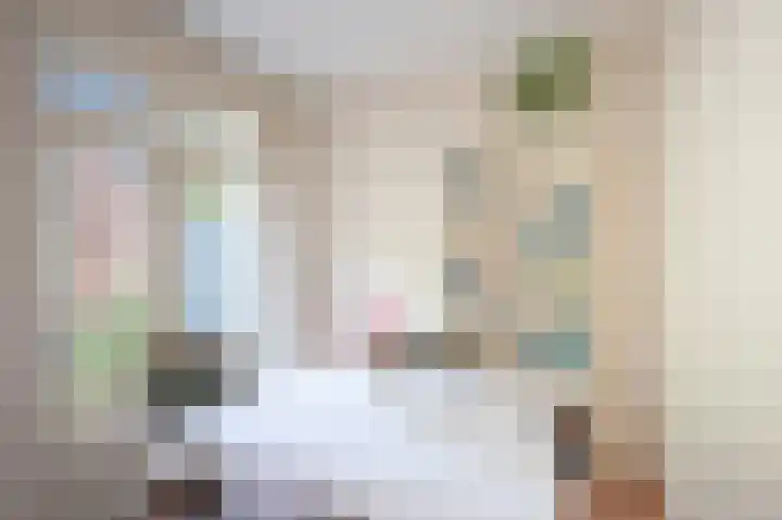 Baetostraat 9 2 Amsterdam thumbnail 9