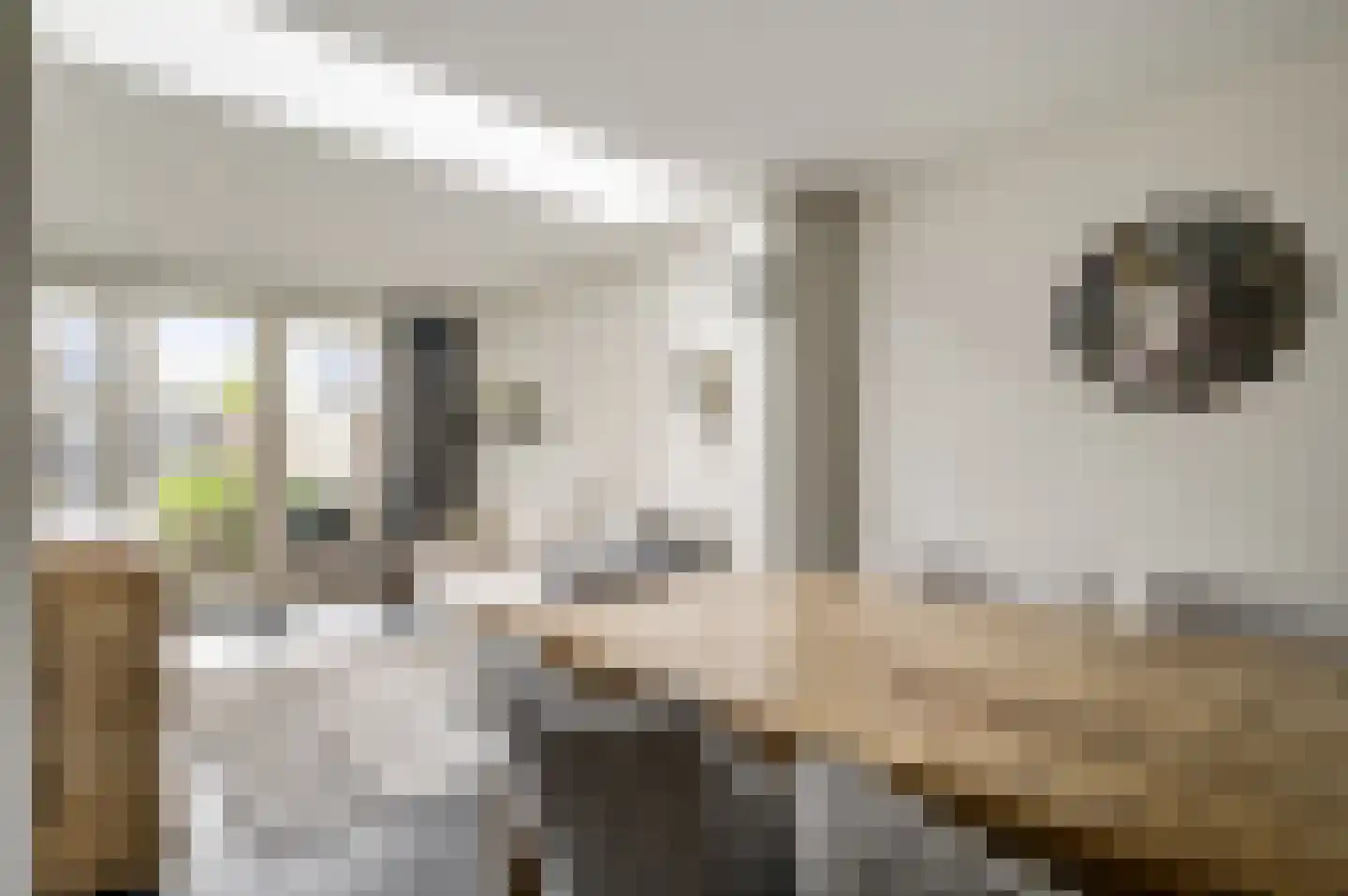 Baetserveldsingel 54 Roggel thumbnail 11