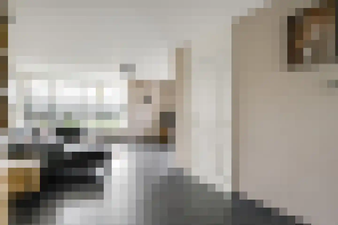 Baetserveldsingel 54 Roggel thumbnail 13