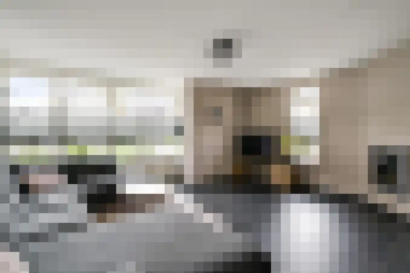 Baetserveldsingel 54 Roggel thumbnail 14