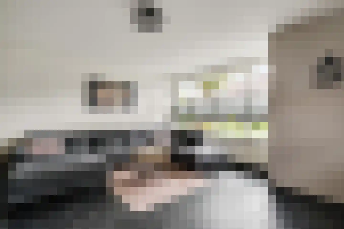 Baetserveldsingel 54 Roggel thumbnail 15