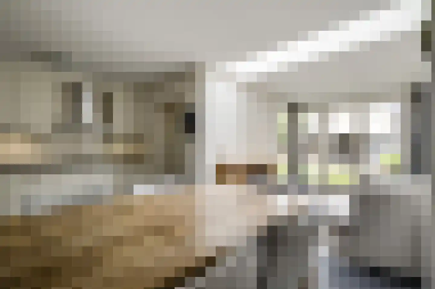 Baetserveldsingel 54 Roggel thumbnail 20